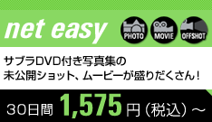 net easy 30����1,575�~�i�ō��j�`