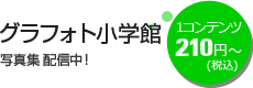 �O���t�H�g���w�� 1�R���e���c210�~�`(�ō�)