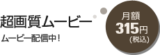 ���掿���[�r�[ ���z315�~(�ō�)