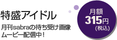 �����A�C�h�� ���z315�~(�ō�)